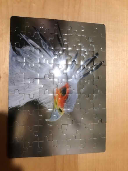 Photo of free Magnetic Jigsaw (North Tonbridge TN9) #3