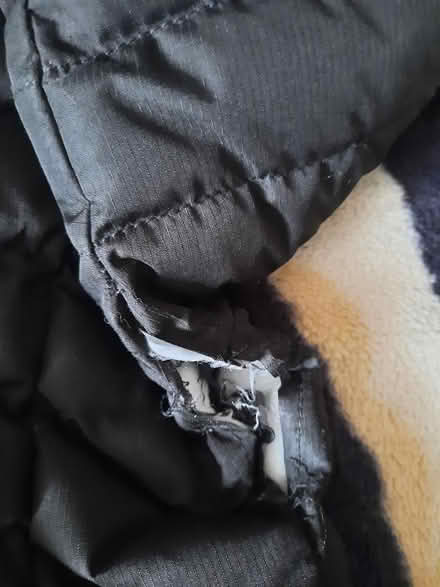 Photo of free Xs mens/large boys coat (Merseybank estate) #1