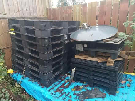 Photo of free Wood and plastic palets (Northampton Dallington) #4