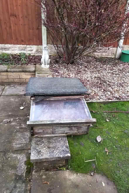 Photo of free Old outdoor tortoise house (Stirchley/Kings Heath B30) #2