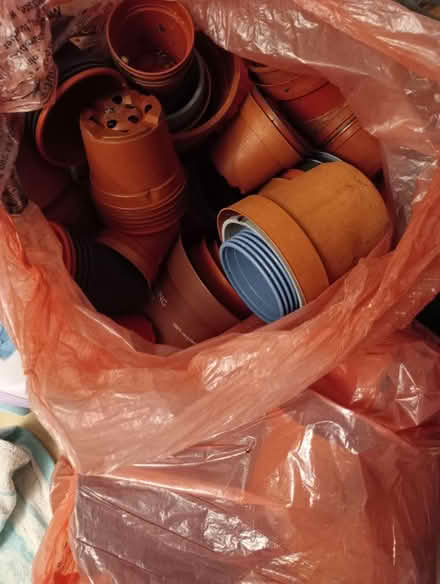 Photo of free Plastic Garden Pots (SS15) #1