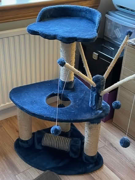 Photo of free Cat Play Station (Glasgow G12) #2