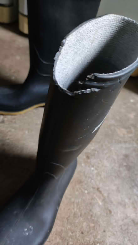 Photo of free Dunlop wellies size 5 (GU52) #4