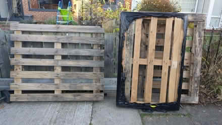 Photo of free 3 pallets (South Shields) #1