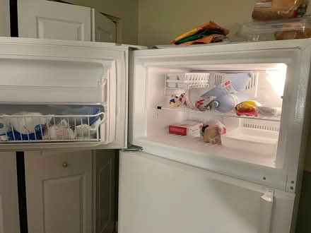 Photo of free Fridge (Guelph VBA) #3