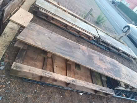 Photo of free Wood and plastic palets (Northampton Dallington) #2