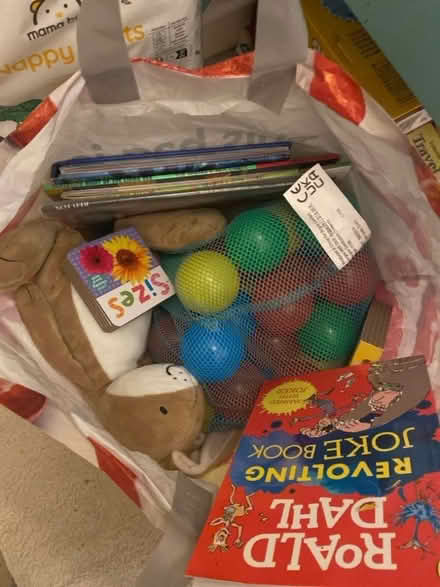 Photo of free Toys and books (Gracemount EH16) #1