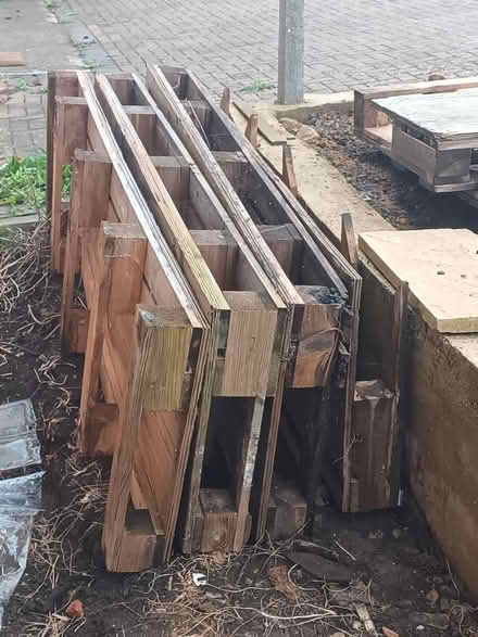 Photo of free Wood and plastic palets (Northampton Dallington) #1