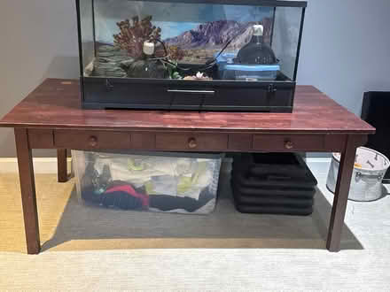 Photo of free Reptile pet kit (McLean) #4