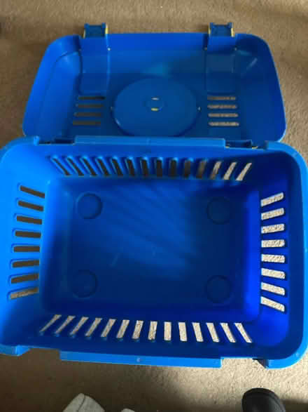 Photo of free Large Plastic Pet Carrier 45cm x 30cm x 27cm (St James, South Elmham IP19) #2