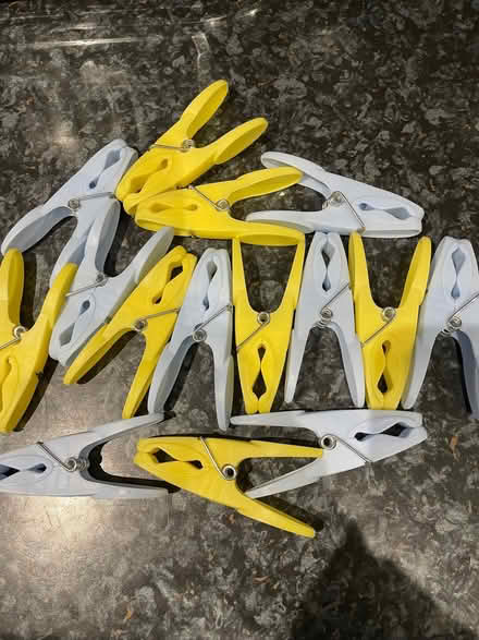 Photo of free Pegs (Starbeck HG1) #1