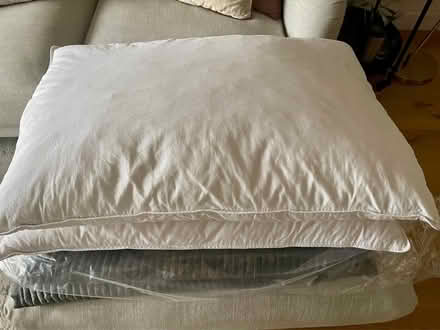 Photo of free 2x Down filled pillows (Bearwood) #1