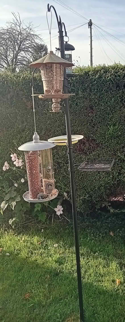 Photo of free 6 ft Bird Feeding Station & Feeders (Bottisham) #2