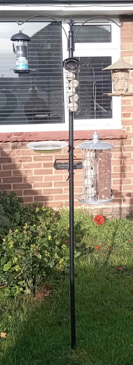 Photo of free 6 ft Bird Feeding Station & Feeders (Bottisham) #3