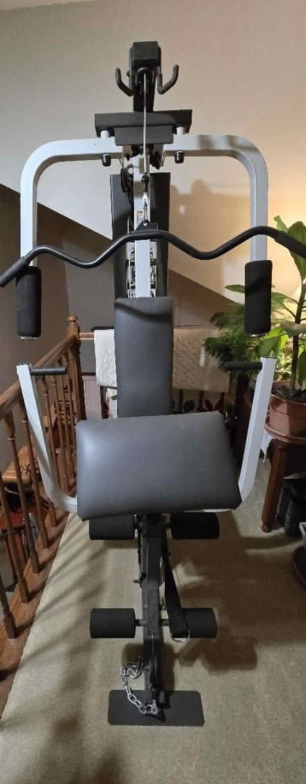 Photo of free Home Gym Weider model WESY19002 (Streamwood) #2