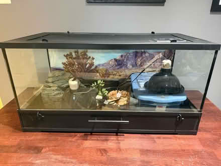 Photo of free Reptile pet kit (McLean) #1