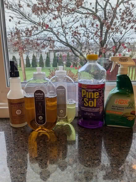 Photo of free Cleaning products (Northeast Livonia) #1