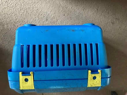 Photo of free Large Plastic Pet Carrier 45cm x 30cm x 27cm (St James, South Elmham IP19) #4