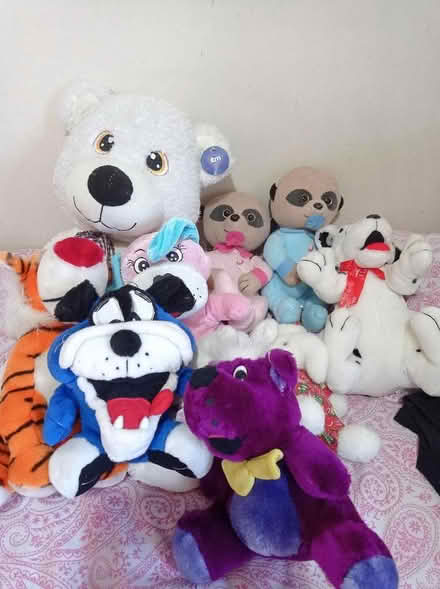 Photo of free Soft toys (Gorebridge EH23) #1