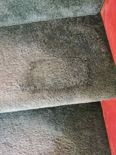 Photo of free Carpet stairs and landing (Brandwood End B14) #2