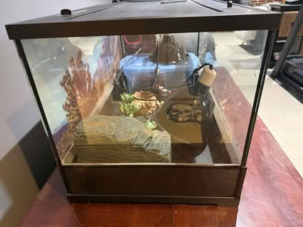 Photo of free Reptile pet kit (McLean) #2