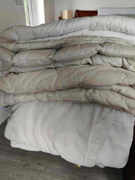 Photo of free Duvets and pillows (Llanbedr Dyffryn Clwyd LL15) #1