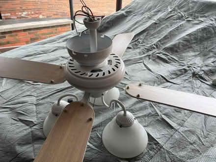 Photo of free White Ceiling Fan (Islington and 401) #1