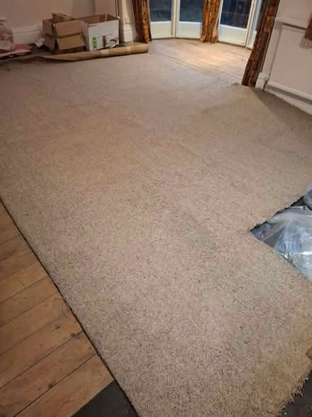 Photo of free Carpet (Pannal HG2) #2