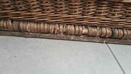 Photo of free Large wicker trunk (Weston Park) #3