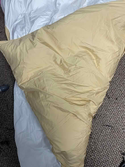 Photo of free Down duvet (Telford) #2