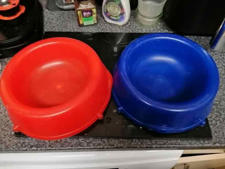 Photo of free Large Animal food bowls (St Nicholas SG1) #1