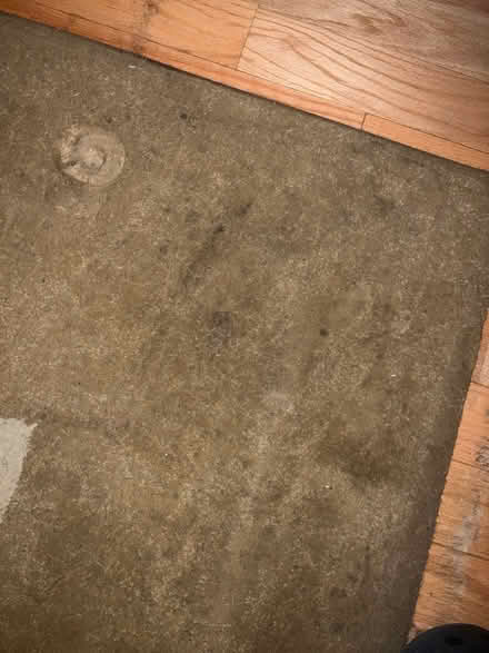 Photo of free Area Rug (Powder Springs) #3