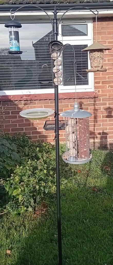 Photo of free 6 ft Bird Feeding Station & Feeders (Bottisham) #1