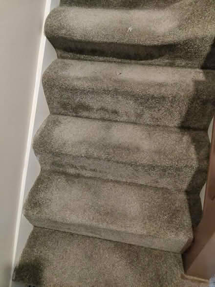 Photo of free stairway carpet (Leeds (LS7)) #1