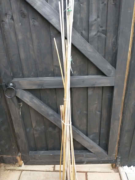 Photo of free A bundle of used various canes (Roundham TQ4) #1