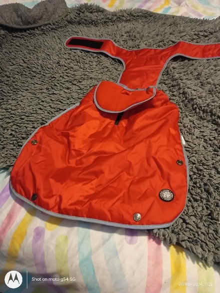 Photo of free brand new dog jacket (Drylaw EH4) #1