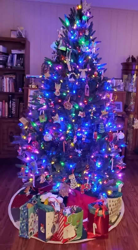 Photo of free Christmas Tree (White Plains/Greenburgh) #1