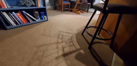 Photo of free Indoor/outdoor carpet (Pelham NH, off Mammoth Rd) #2