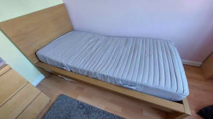 Photo of free Single Ikea Malm bed (Wesham PR4) #1