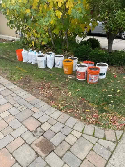 Photo of free Dirt from our yard (Midtown Palo Alto) #1