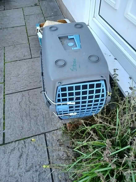 Photo of free Cat travel basket (Speedwell BS5) #1