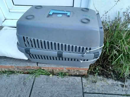 Photo of free Cat travel basket (Speedwell BS5) #2