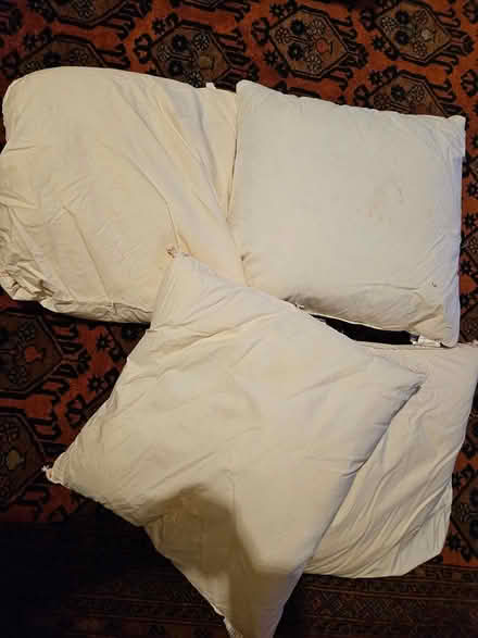 Photo of free Feather cushion inners (W13 near Lammas/Walpole) #1