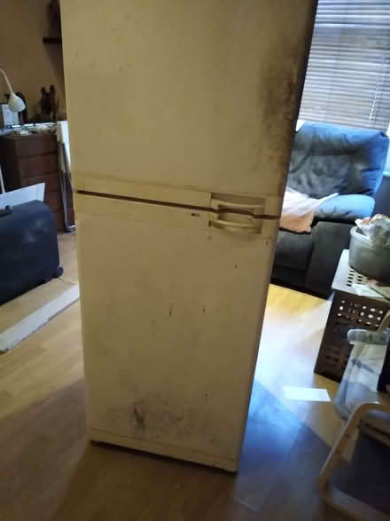 Photo of free fridge freezer (West Hendon NW9) #2