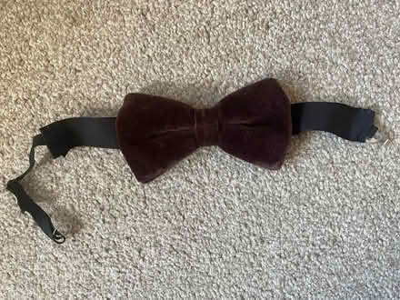 Photo of free Brown velvet bow tie (Longbarn WA2) #1