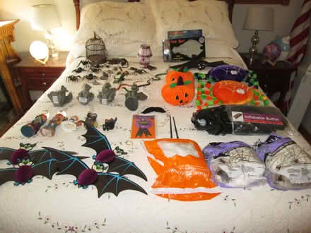 Photo of free Halloween decorations (Woodridge) #1