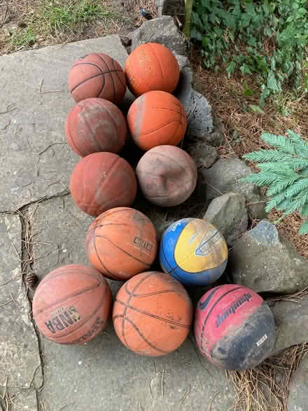 Photo of free Old basketballs (Aptos Village) #1