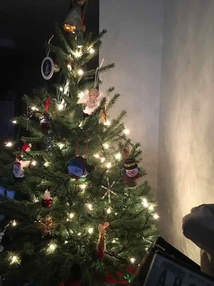 Photo of free Artificial Christmas Tree (Chicopee Self Storage) #1