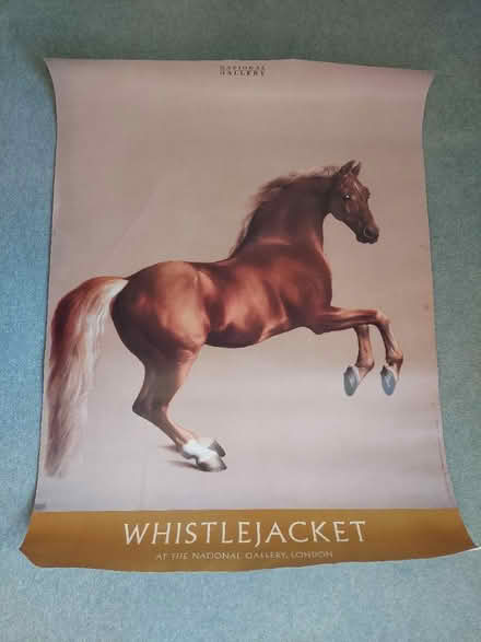 Photo of free Poster of Whistle Jacket (Waterlooville PO7) #1