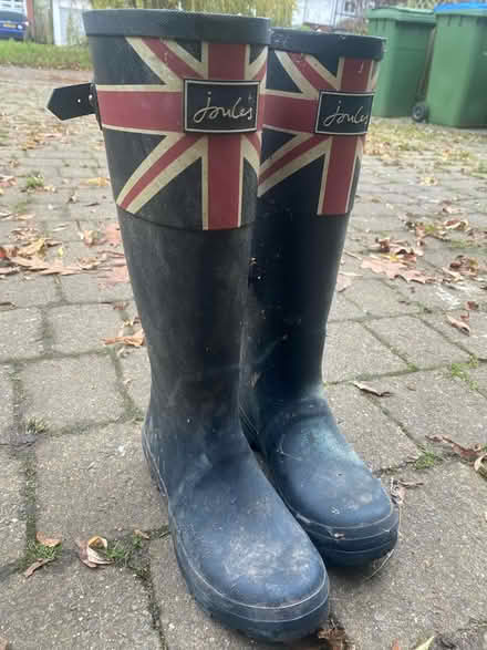 Photo of free Wellington boots (Claygate,KT10) #2